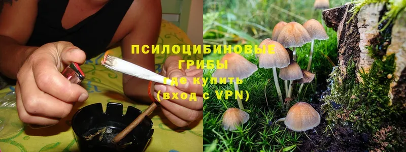 Псилоцибиновые грибы GOLDEN TEACHER  Балабаново 